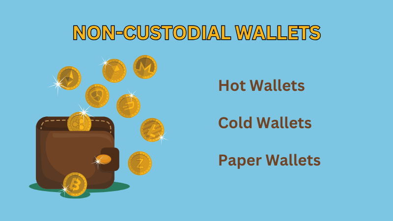 Types-of-Crypto-Wallets